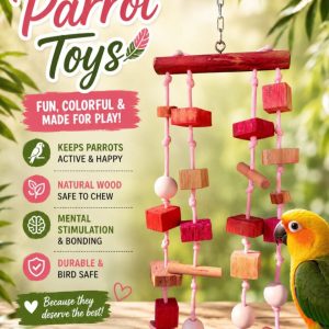Parrot Toys